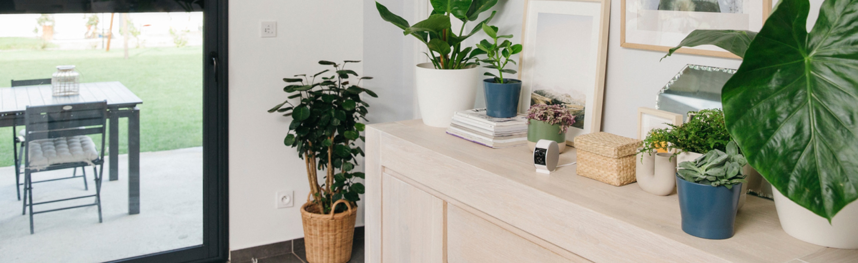 Beveiligingscamera's Beveiligingscamera's