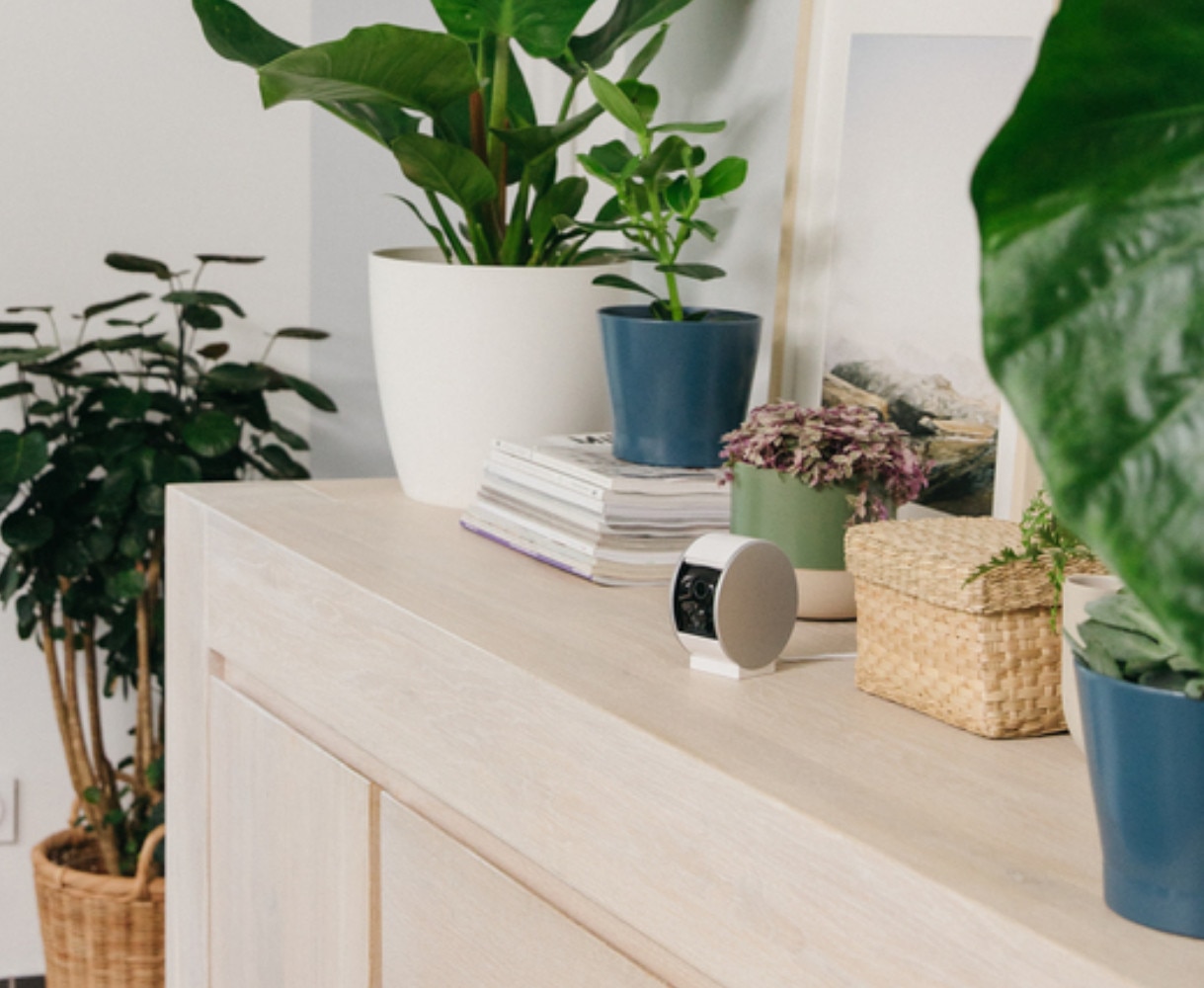 Houd je woning altijd in de gaten met de slimme camera’s van Somfy Protect. 